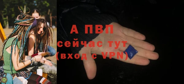 прущие грибы Киренск