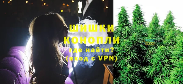прущие грибы Киренск