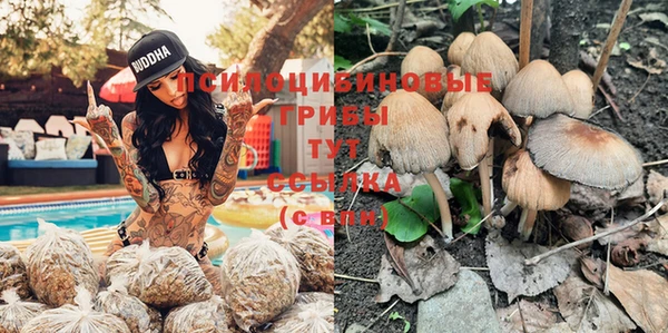 а пвп мука Козельск