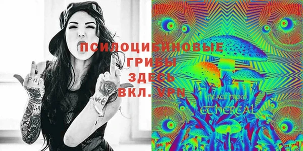 соль курить ск Козловка